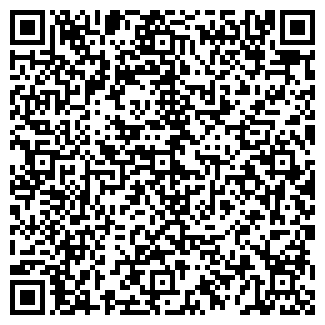 QR-код с контактной информацией организации "Thule" Тюмень