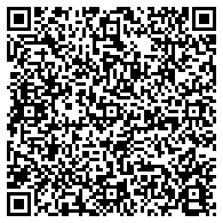 QR-код с контактной информацией организации ЛИМЕЗИНСКАЯ НЭС