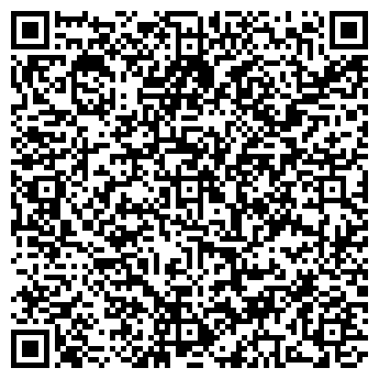 QR-код с контактной информацией организации ООО Туры в Грузию