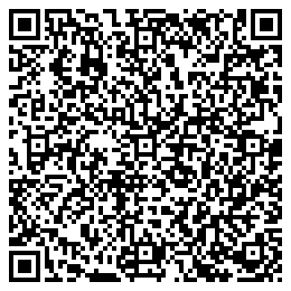 QR-код с контактной информацией организации ЧП Шеви Авто