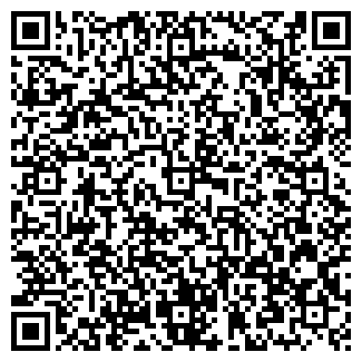 QR-код с контактной информацией организации ООО РУСИЧЪ - ЮГ