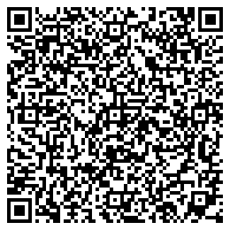 QR-код с контактной информацией организации ООО Блиц