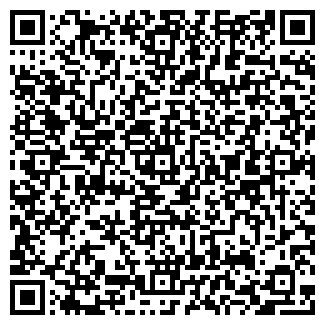 QR-код с контактной информацией организации ИП Dizzelli