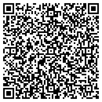 QR-код с контактной информацией организации ИП Демиденко С.И.