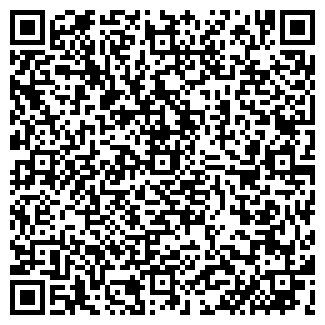 QR-код с контактной информацией организации "Dici" Уфа