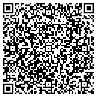 QR-код с контактной информацией организации ООО Дилсис
