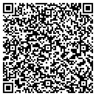 QR-код с контактной информацией организации Феникс