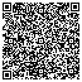 QR-код с контактной информацией организации Солнечная