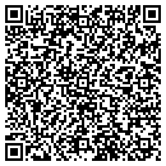 QR-код с контактной информацией организации Электроник