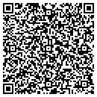 QR-код с контактной информацией организации Светлана-авто