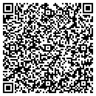 QR-код с контактной информацией организации Иркутск Дом
