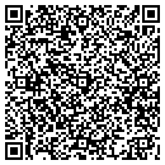 QR-код с контактной информацией организации Билайн