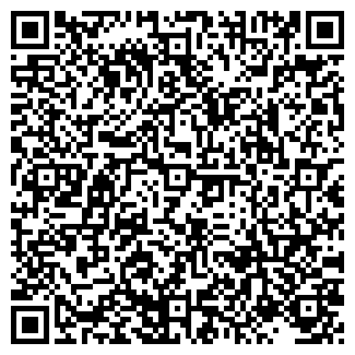 QR-код с контактной информацией организации № 153 МУЗ