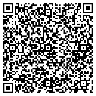 QR-код с контактной информацией организации ИП Болдырев Е.П " Эконом Авто"