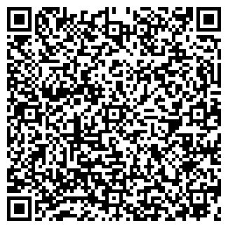 QR-код с контактной информацией организации САЛМИН, ЧП