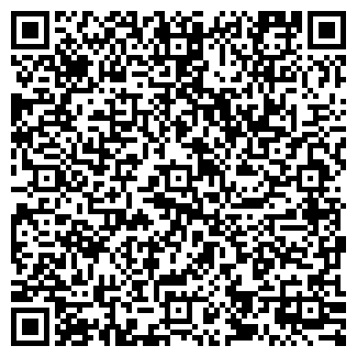 QR-код с контактной информацией организации ООО Киргизтрип