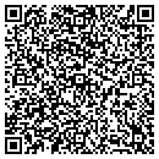 QR-код с контактной информацией организации Like Service