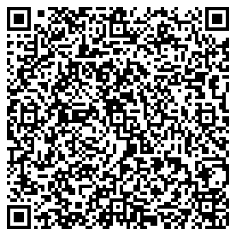 QR-код с контактной информацией организации Сюжет