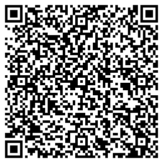QR-код с контактной информацией организации СИРИУС