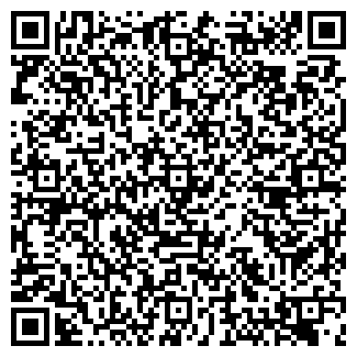 QR-код с контактной информацией организации МЕТЕЛИЦА