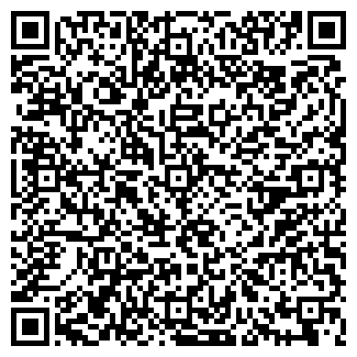 QR-код с контактной информацией организации ИП «АРИСТО»