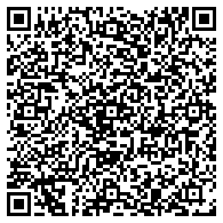 QR-код с контактной информацией организации ДНС