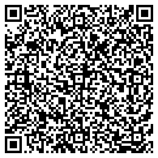 QR-код с контактной информацией организации ИП ViboStore