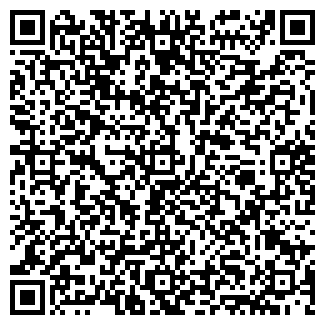 QR-код с контактной информацией организации № 241