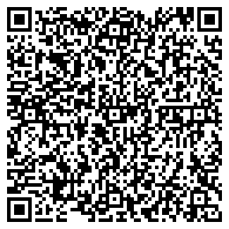 QR-код с контактной информацией организации Магазин  220v