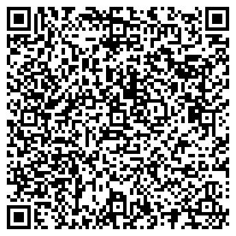QR-код с контактной информацией организации АЛЕКСЕЕВ, ИП