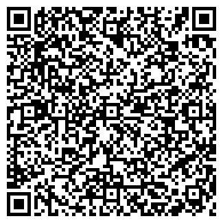 QR-код с контактной информацией организации ИП Пицца Бар