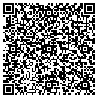 QR-код с контактной информацией организации ЦТХ, ООО