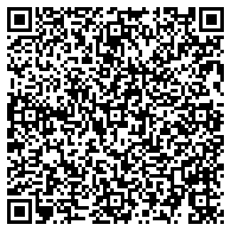 QR-код с контактной информацией организации МИНИ-СТО