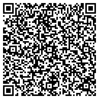 QR-код с контактной информацией организации ПИТ СТОП