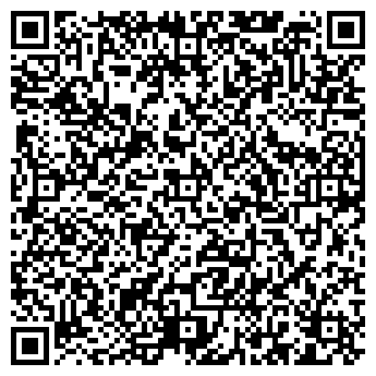 QR-код с контактной информацией организации ДМ СИСТЕМ, ООО