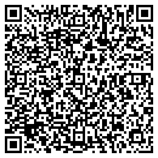 QR-код с контактной информацией организации Чайка