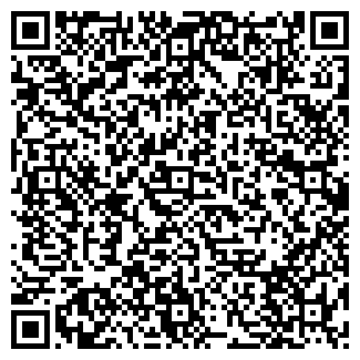 QR-код с контактной информацией организации Нико-Сервис