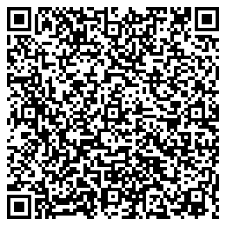 QR-код с контактной информацией организации ПодКапотом