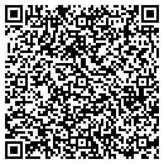 QR-код с контактной информацией организации ИП Честный Сервис