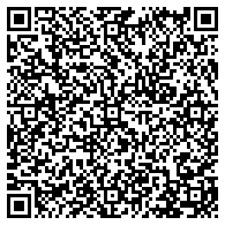 QR-код с контактной информацией организации Светлана