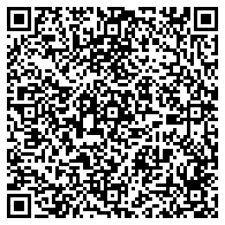 QR-код с контактной информацией организации Kmavto.ru