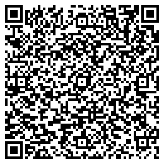 QR-код с контактной информацией организации Nicole Marie