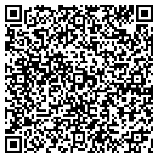 QR-код с контактной информацией организации Билайн