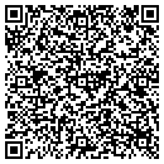 QR-код с контактной информацией организации Студия цветов Дарьи Ворохобко