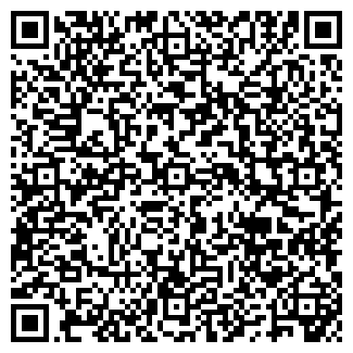 QR-код с контактной информацией организации ДомЭлектро