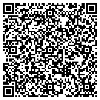 QR-код с контактной информацией организации АЛЬДИ МПКФ ТОО