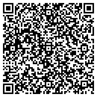 QR-код с контактной информацией организации Волма