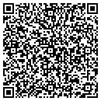 QR-код с контактной информацией организации ООО Intelsib