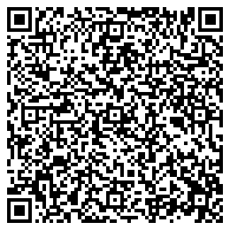 QR-код с контактной информацией организации ИП Мастер