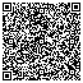 QR-код с контактной информацией организации Мастерская IMV